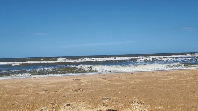 Танцуем на берегу моря!