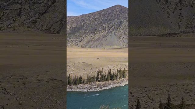 Алтай. Октябрь 2024.