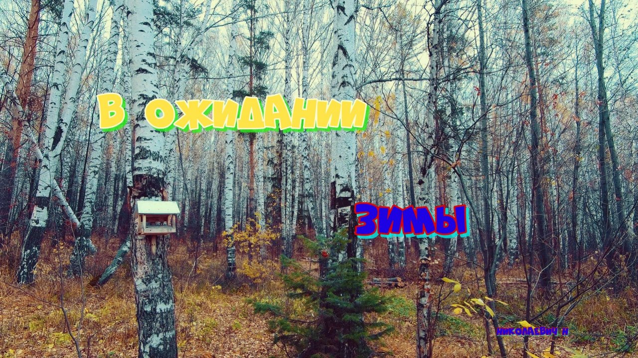 В ожидании зимы