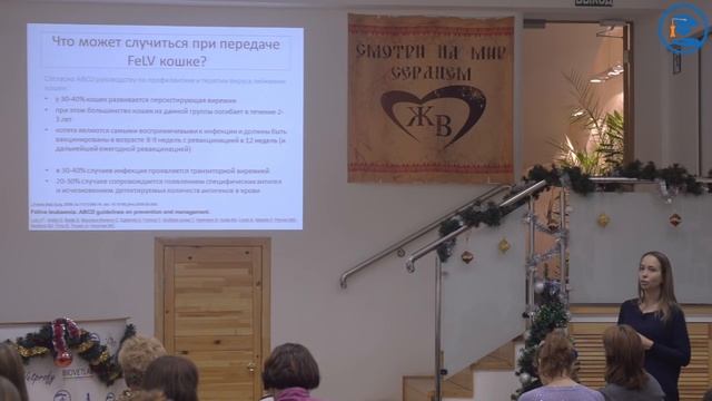 «Вирус лейкемии и вирус иммунодефицита кошек как этиологические факторы лимфомы», К. В. Лисицкая