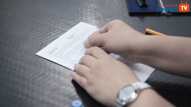 Вакцинация собак и кошек (какие прививки, как часто делать, отметка в ветеринарный паспорт)