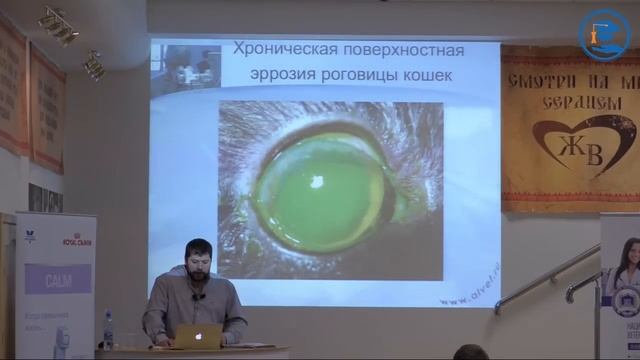 «Инфекционные заболевания конъюнктивы кошек и собак» А.А. Константиновский в ВЦ ЗООВЕТ