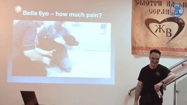 «Дифференциальная диагностика хромоты у собак» Ноэль Фицпатрик в ВЦ ЗООВЕТ