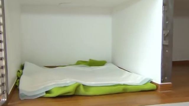 Один день из жизни ветеринарного врача. Кауркина Е. В., дерматолог