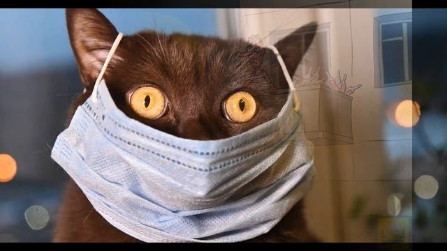 Уйди Коронавирус (Авторская веселая песня)_Вадим Ибрянов