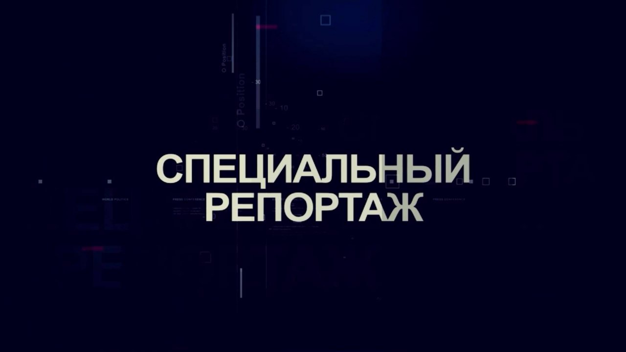 Специальный репортаж. Любовь и голуби