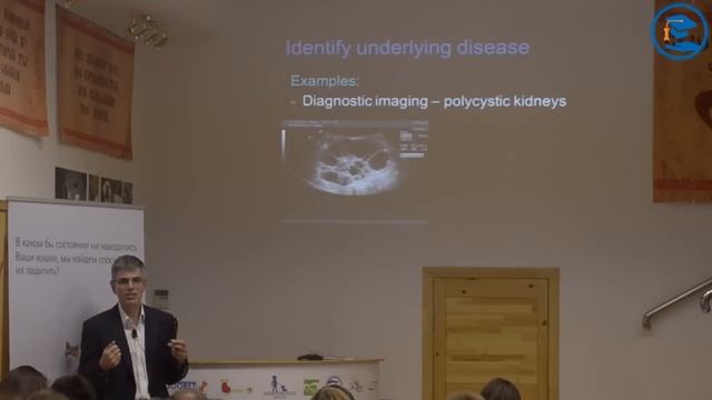 «Диагностика и стадии хронической почечной недостаточности у кошек», Д. Эллиотт