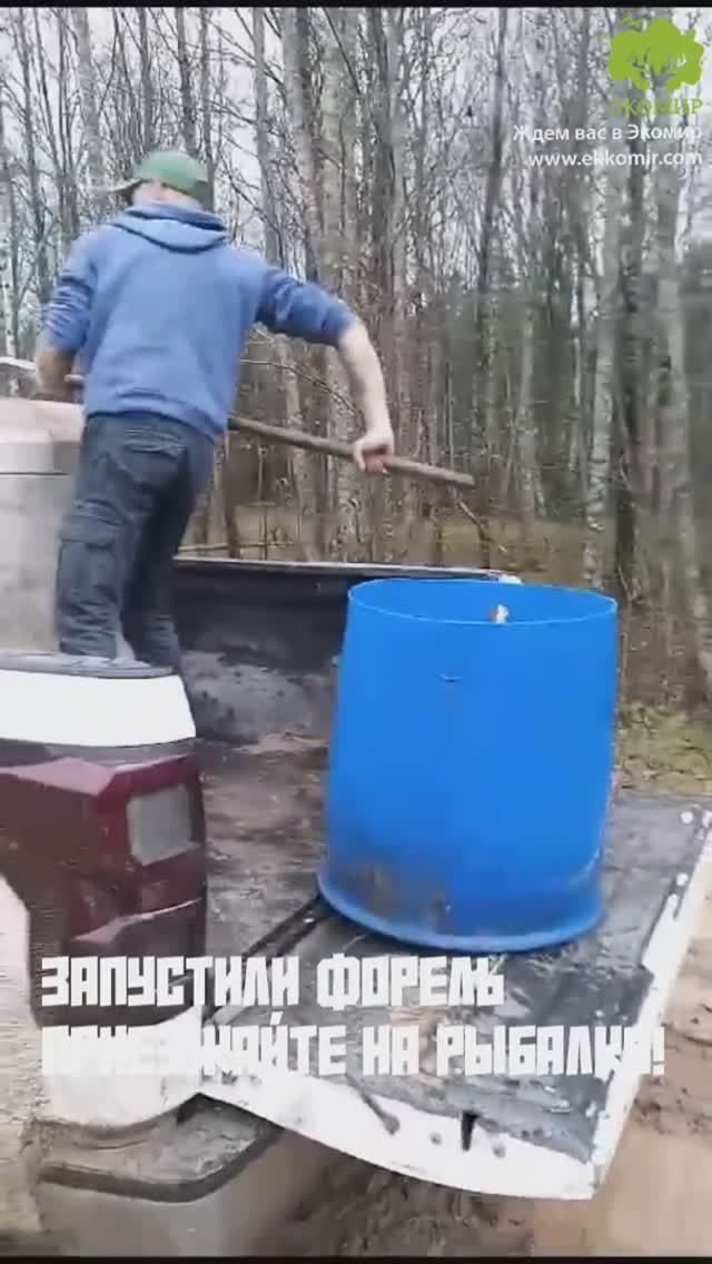 Следующий этап зарыбления лесного озера: запустили радужную форель!