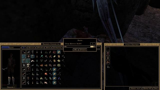 The Elder Scrolls III Morrowind Walkthrough Part № 8