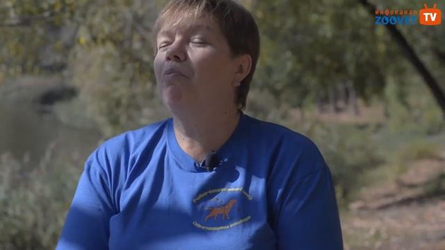 Учебно-кинологический центр "Собаки-помощники инвалидов"