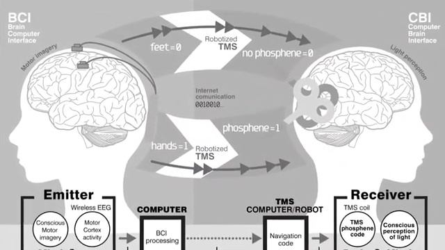 Вводное занятие по нейротехнологиям