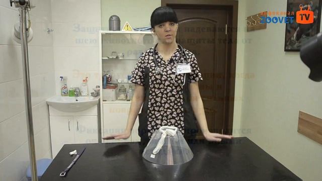 Применение защитного воротника