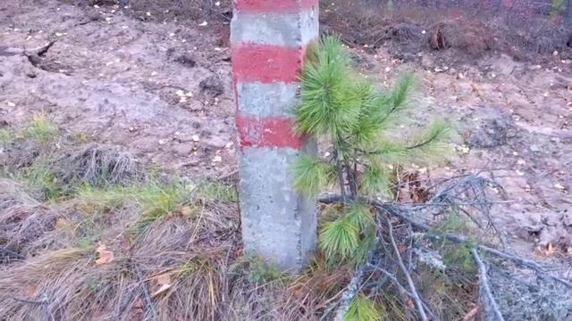 Нивелирный пункт грунтовый репер