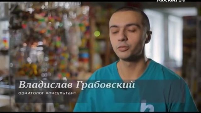 А. Д. Агафонова, герпетолог ВЦ "ЗООВЕТ" в программе канала М24 "Все как у людей"