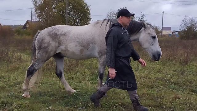 Вячеслав и Фаир. Занятие в дождь, осень 24.