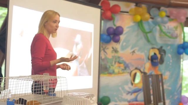 Зоошкола для детей и их родителей | Социальный проект ВЦ ЗООВЕТ