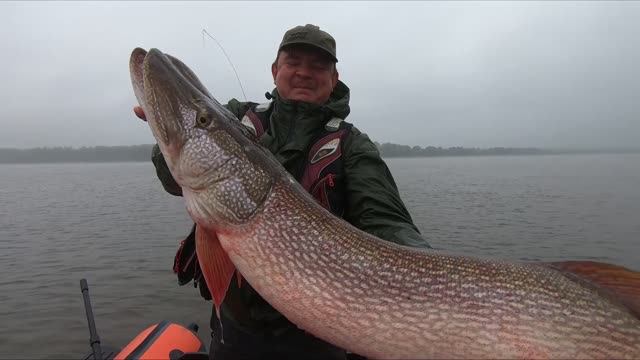 Щука-монстр довела до истерики. Рыбалка осенью на Оби