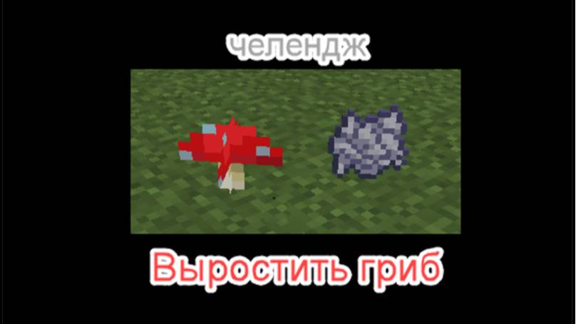 ЧЕЛЛЕНДЖ - Вырастить гриб