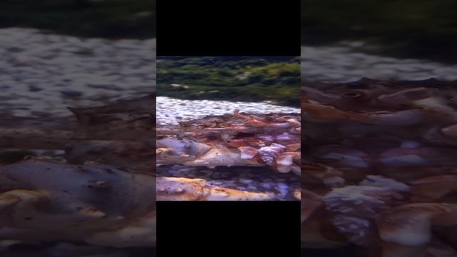 Выставочный центр «Акванариум» / Путешественники в отзывах об океанариуме-акванариуме / Акванариум -