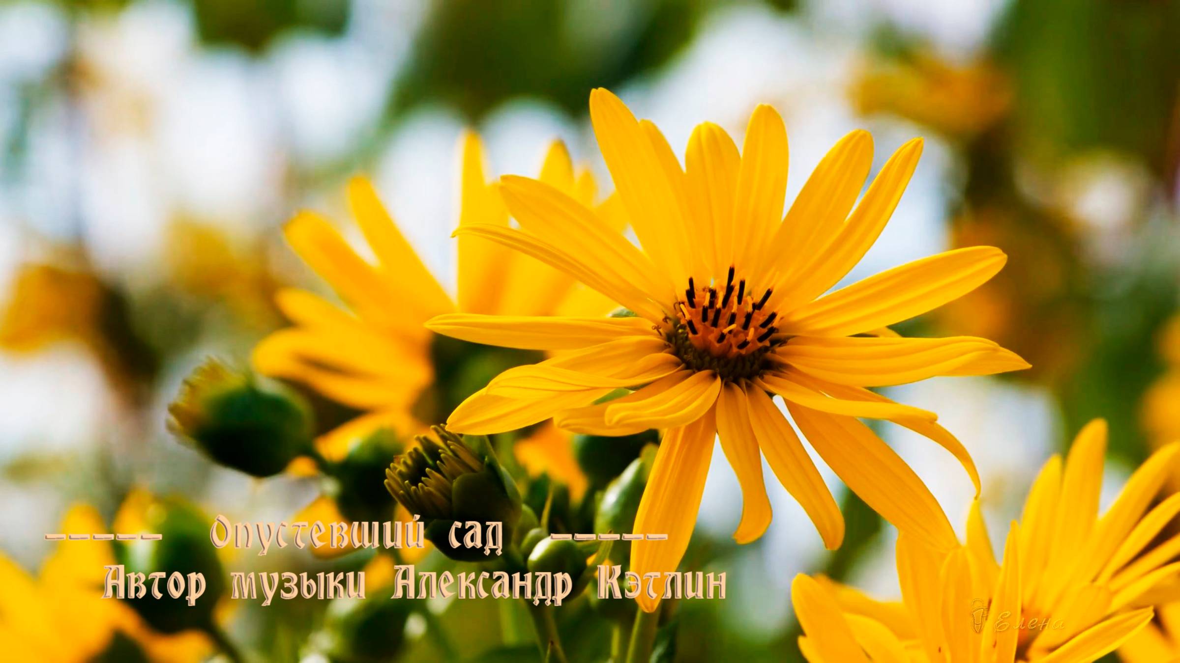 Опустевший сад*