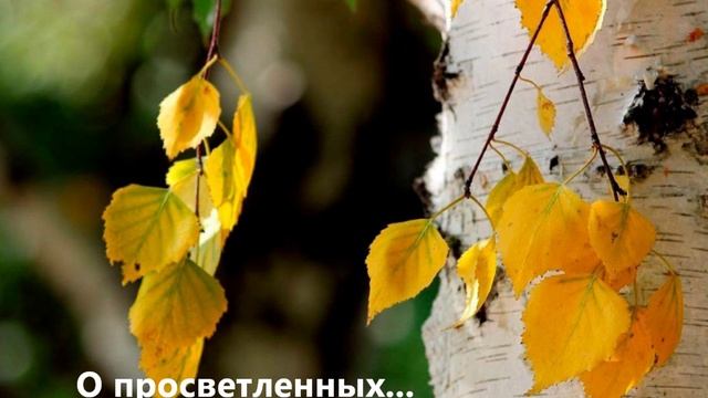 О просветленных_Валерий Гурков_стихи 2024