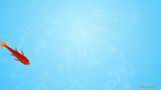 Игровое видео для кошек и котов, 2. Рыбки, длинная версия. Только для животных под присмотром людей