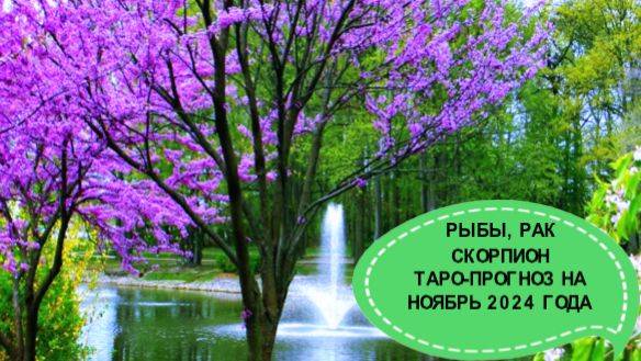 РЫБЫ, РАК, СКОРПИОН ТАРО-ПРОГНОЗ НА НОЯБРЬ 2024 ГОДА