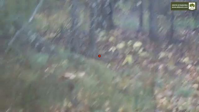 Заячий маневр. +18