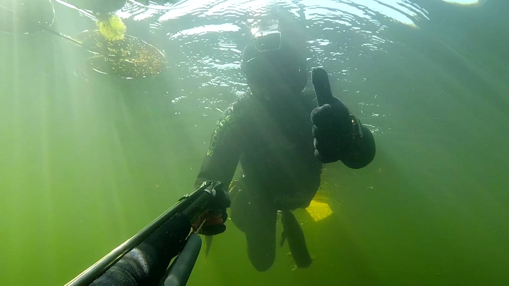 Подводная охота Хороший вистрел по щуке из арбалета