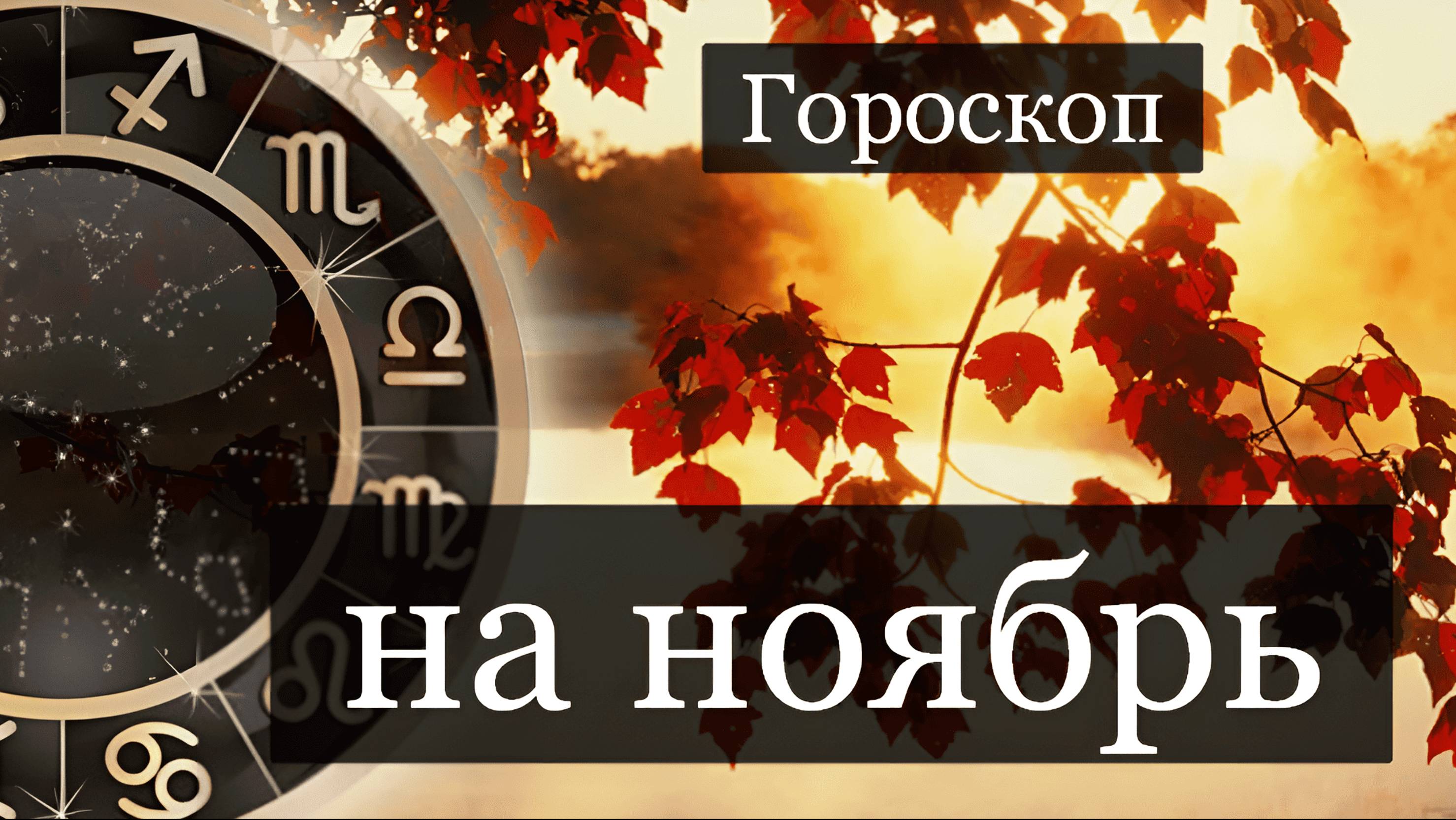 ТАРО #Аврора #гадание Козероги на ноябрь 2024