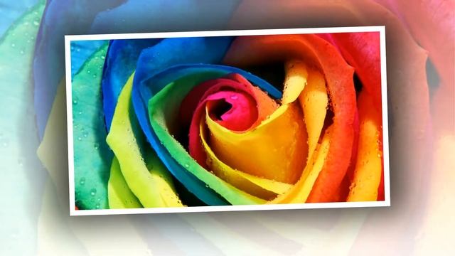 Поздравления с Днём рождения!