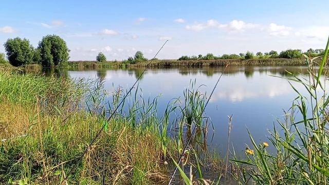 Раньше в этом озере были караси, а теперь ловятся эти зубастики ...