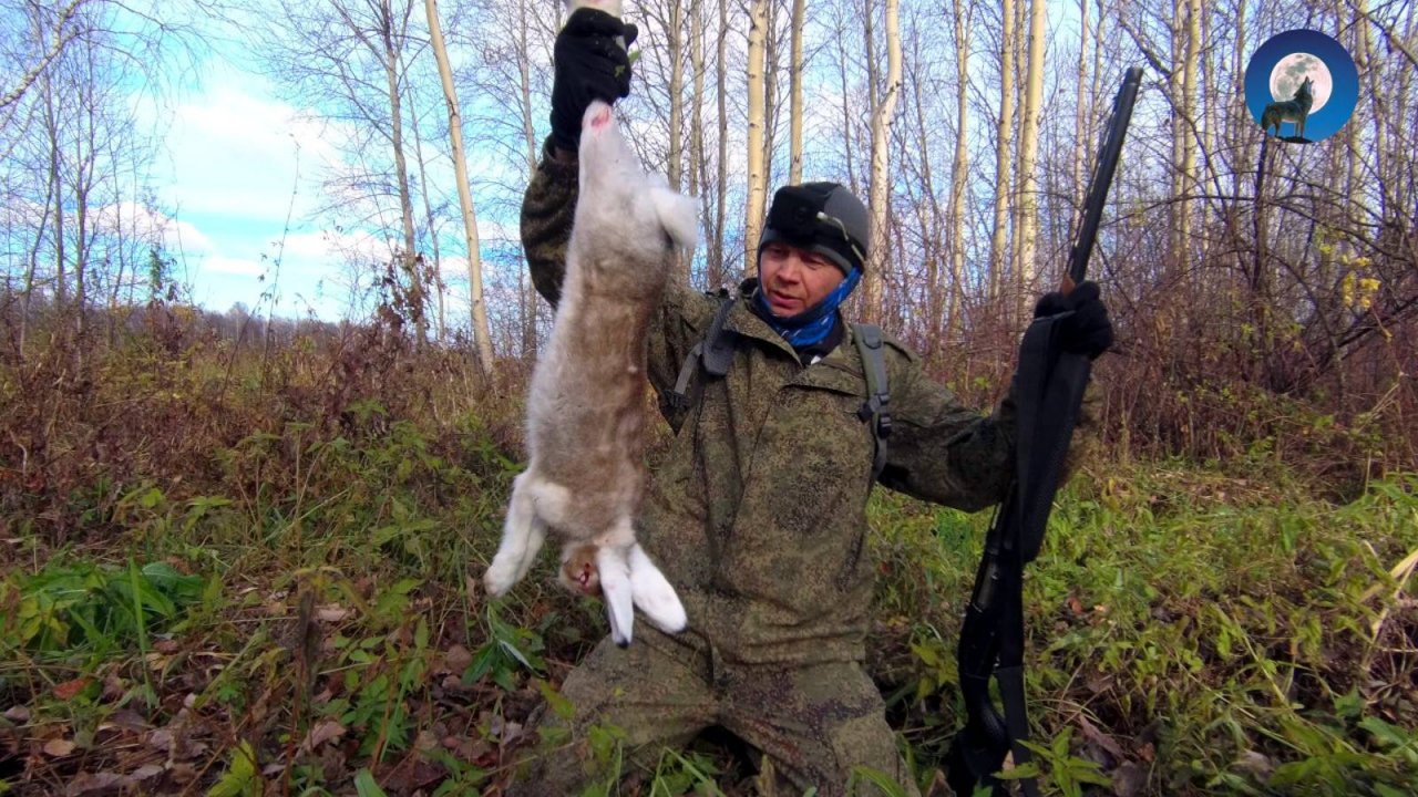 ВЕРНУЛСЯ В КРАЙ НЕПУГАНЫХ ЗАЙЦЕВ * НАШЁЛ, ДОБЫЛ И ПРИГОТОВИЛ