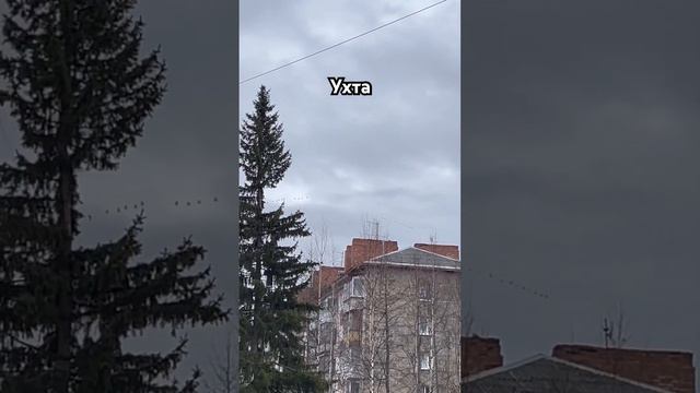#Ухта …косяки в небе…Республика Коми…16.05.2024