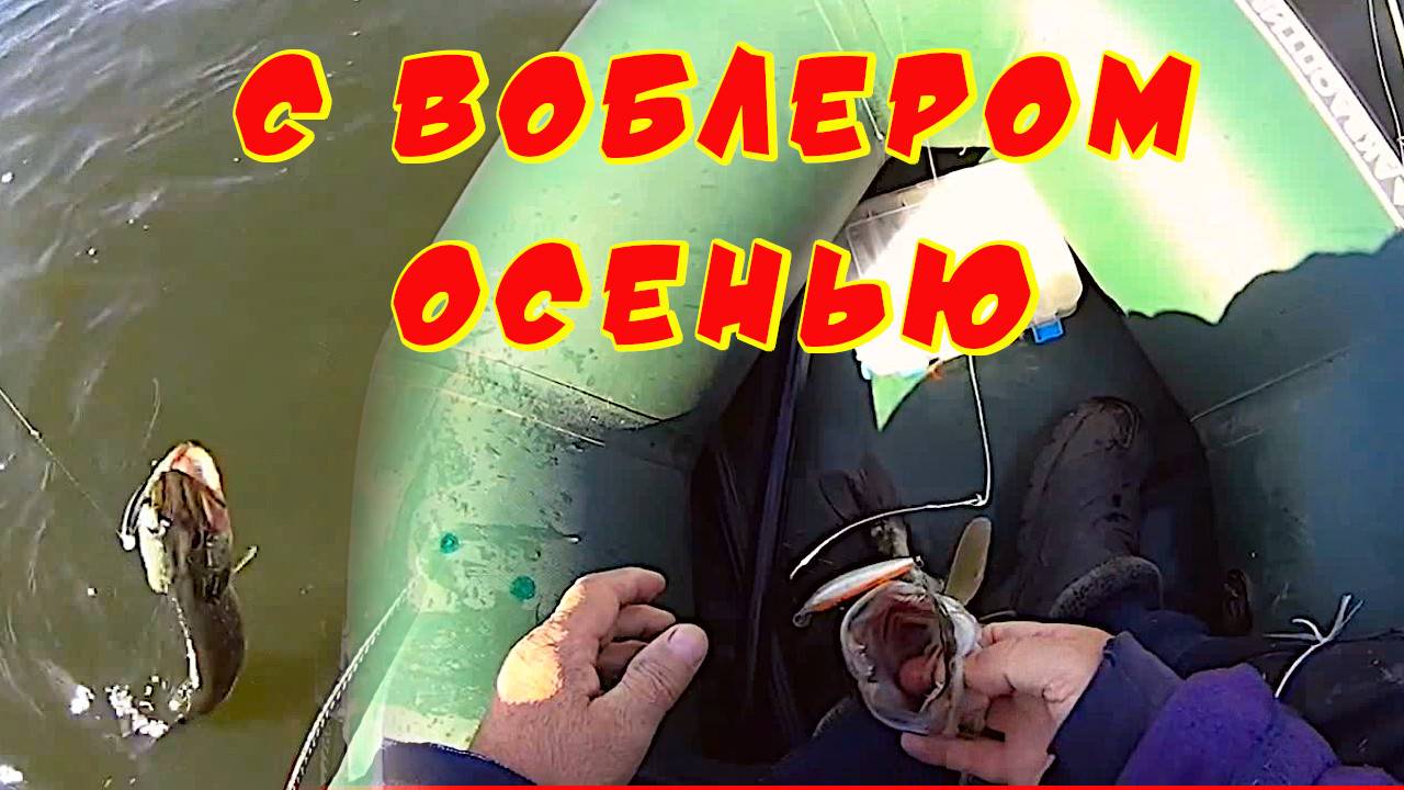 Потрясающий способ удалять воблер из пасти щуки. Ловля щуки осенью на воблер