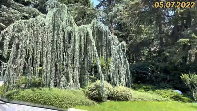 #Отпуск 2022 на машине…15 серия…Партенит…Парк Айвазовского-экскурсия