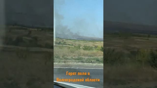 Горят степи в Волгоградской области…август 2021