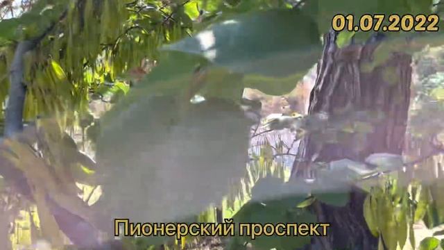 #Отпуск 2022 на машине…11 серия…Джемете