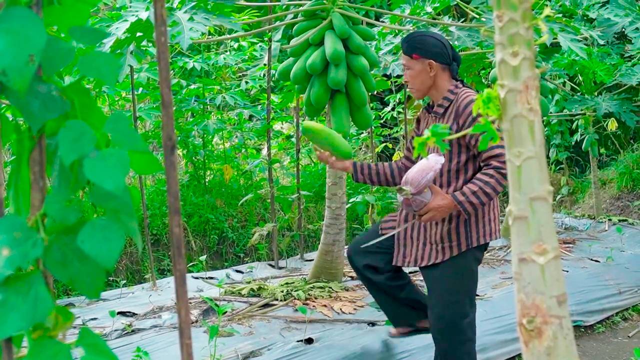 Сбор и приготовление обжаренной банановой сердцевины приготовленным на гриле, с соусом