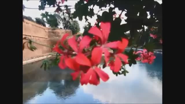 1 Италия: озеро Гарда и немного Альп