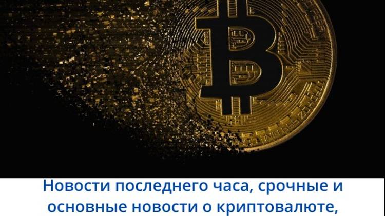 Майнеры РФ начнут с декабря/Альтернатива ЗОЛОТУ/ВТС в хвосте у Solana.