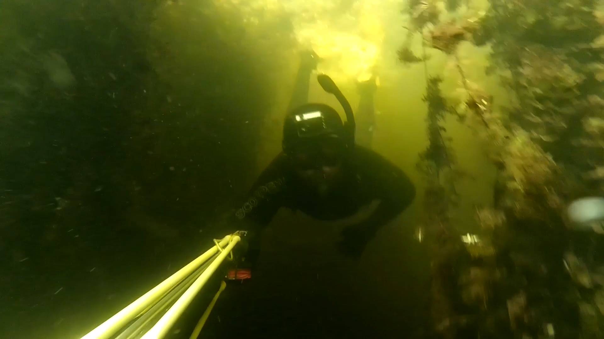 Подводная охота возле омута на щуку