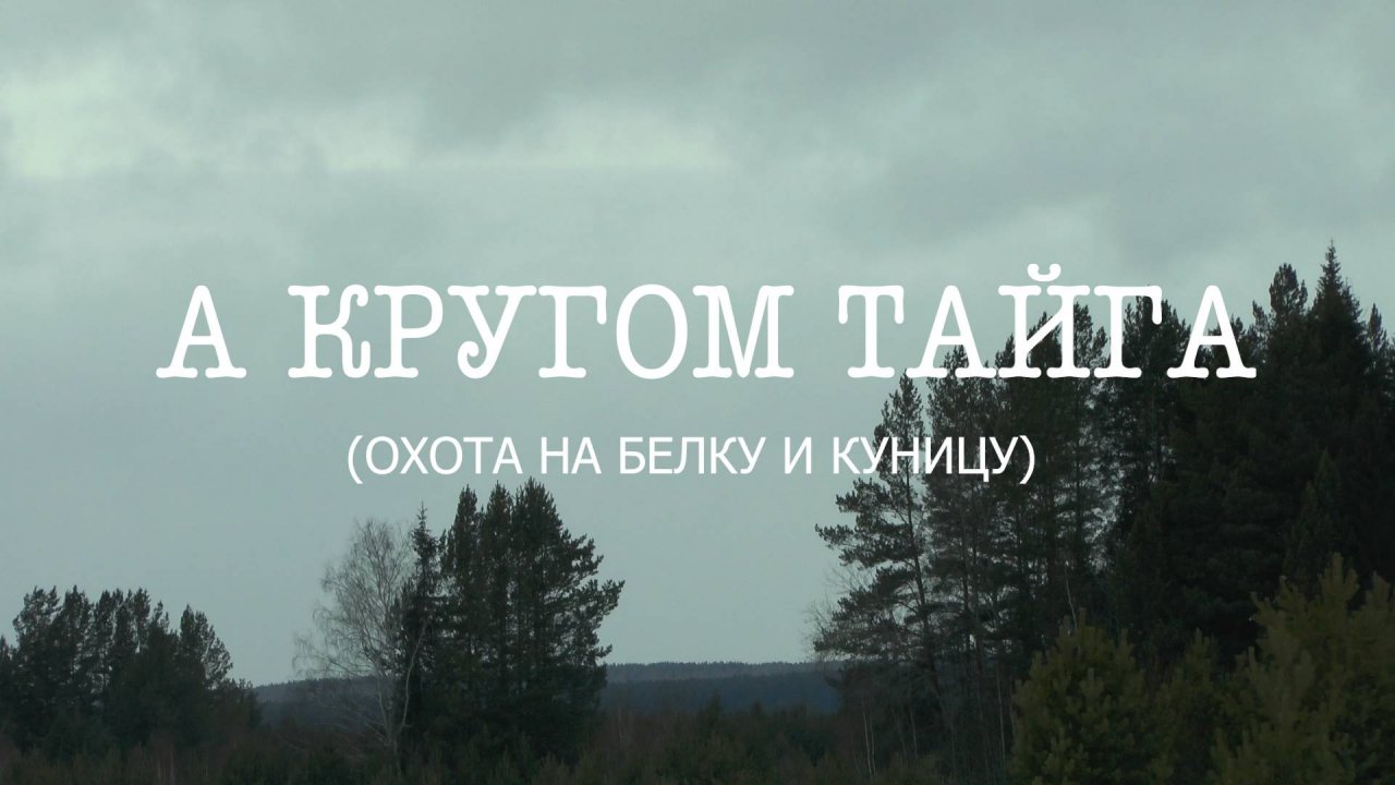 Кругом тайга