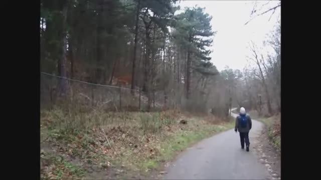 4 Море и Хаарлем