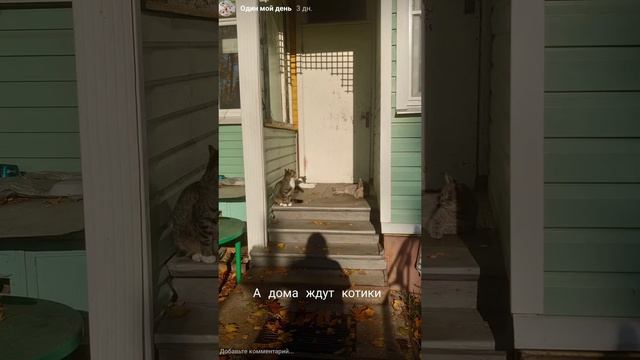 Один мой осенний день в отпуске