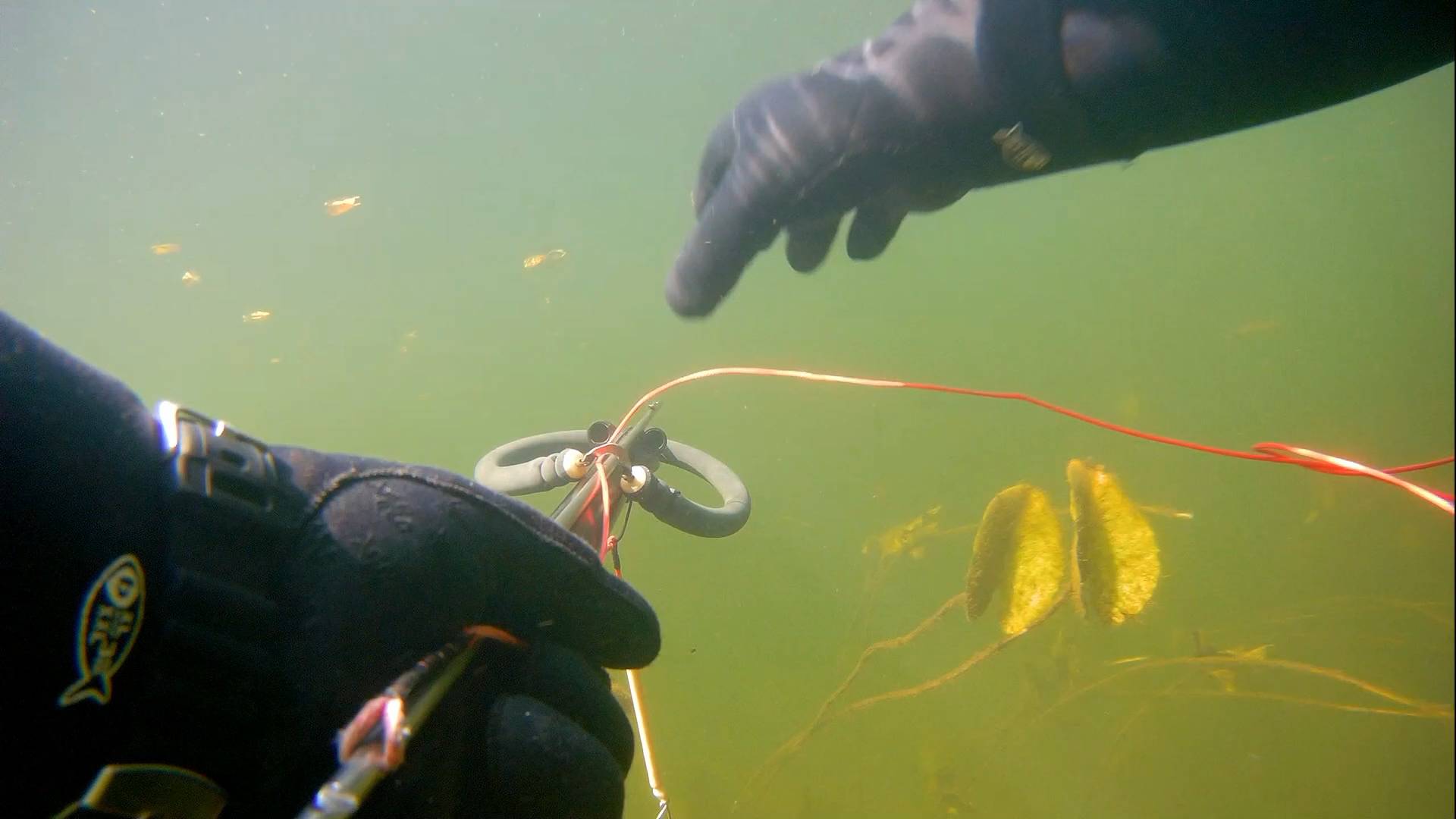 Подводная охота с арбалетом на щуку Хороший прозрак