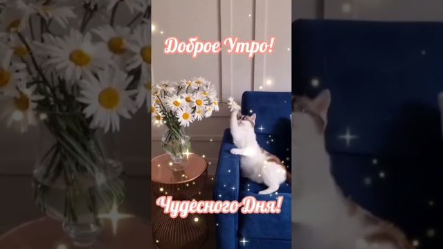 Создавай свой Сценарий!