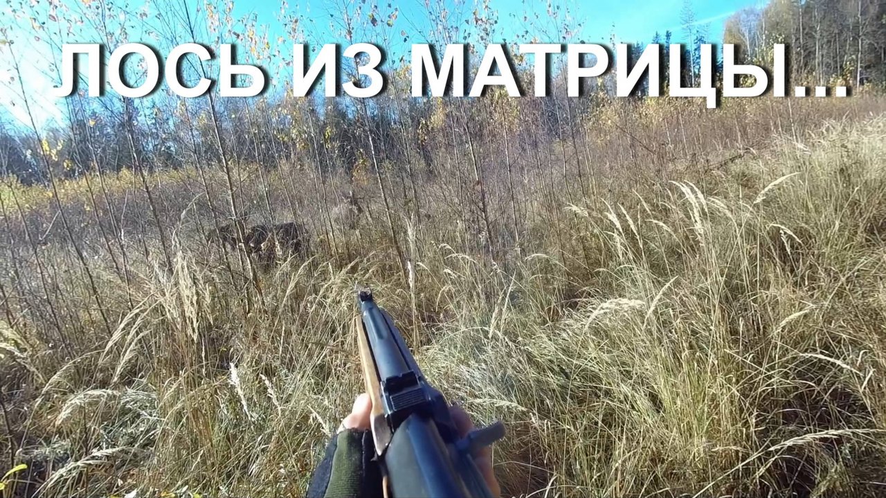 💥Охота НА ЛОСЯ 💥 Матрица существует?