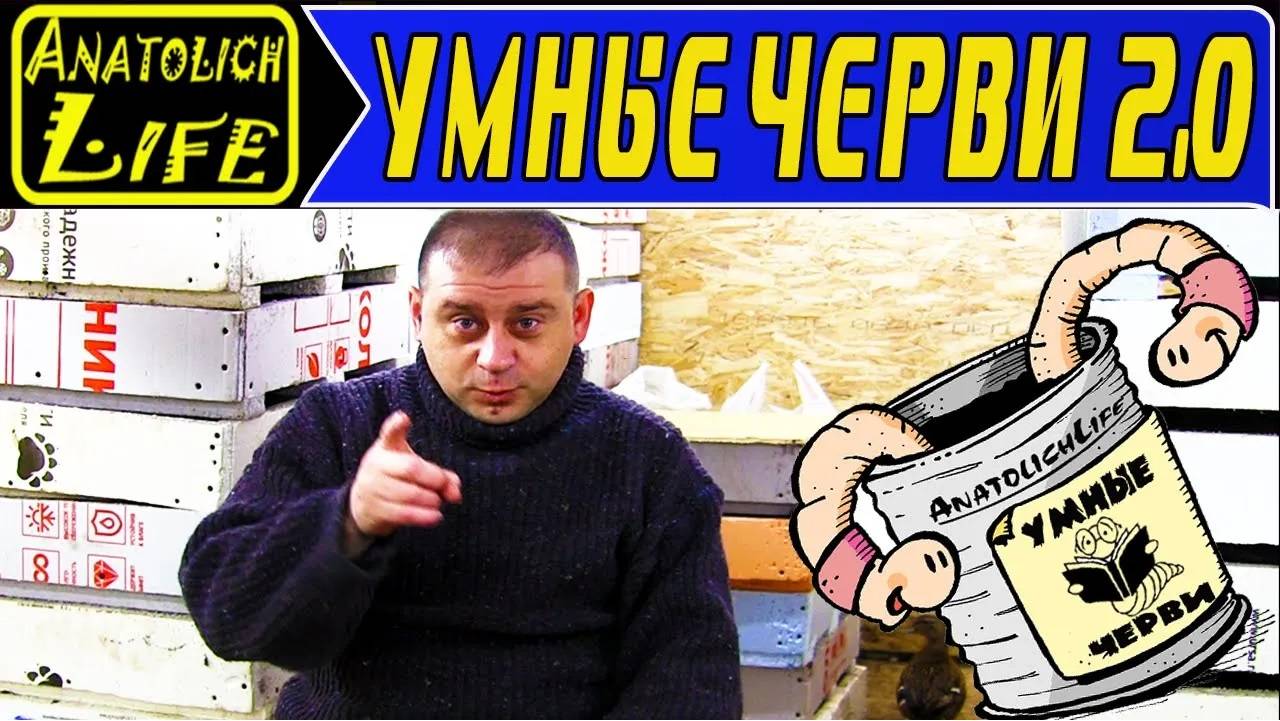 Дендробена. Бизнес дома для мужчин. Разведение червей.