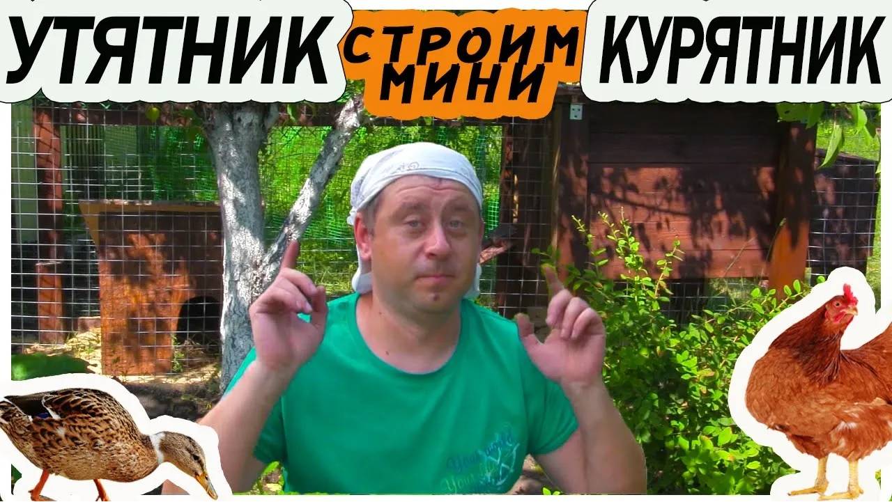 Как сделать мини курятник и домик для подсадной утки.